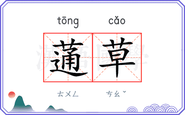 蓪草