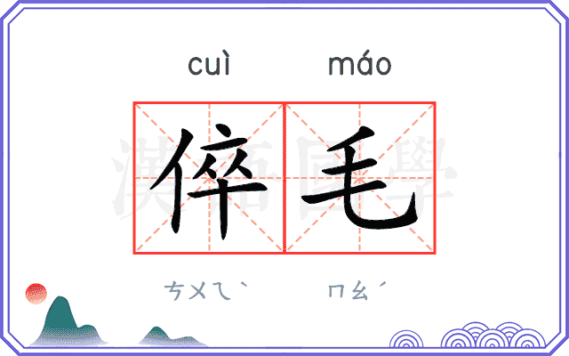 倅毛