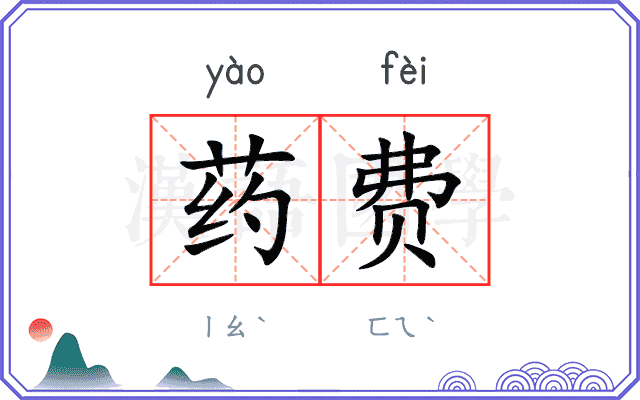 药费