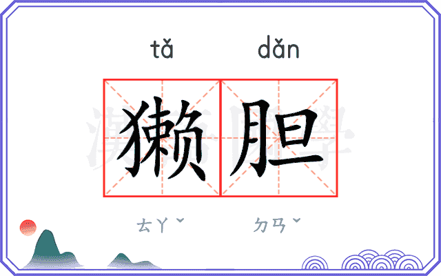 獭胆