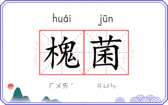 槐菌