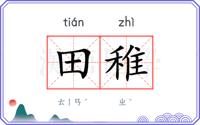 田稚