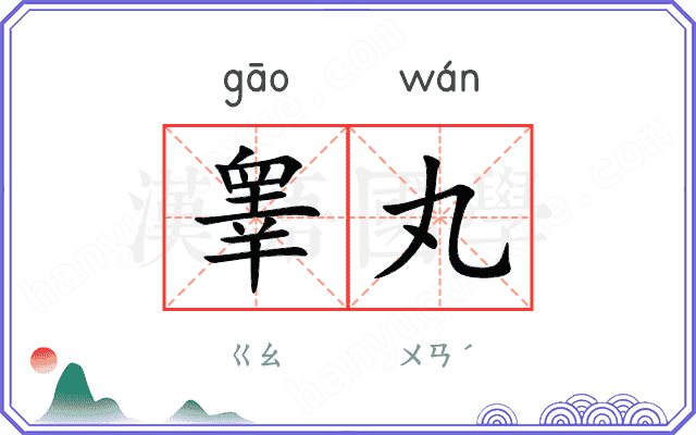 睾丸