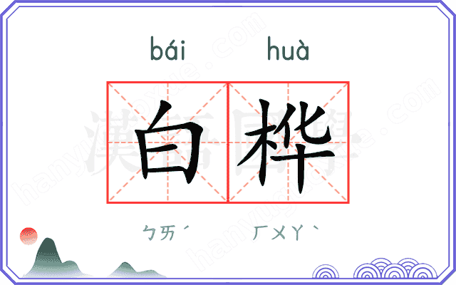 白桦