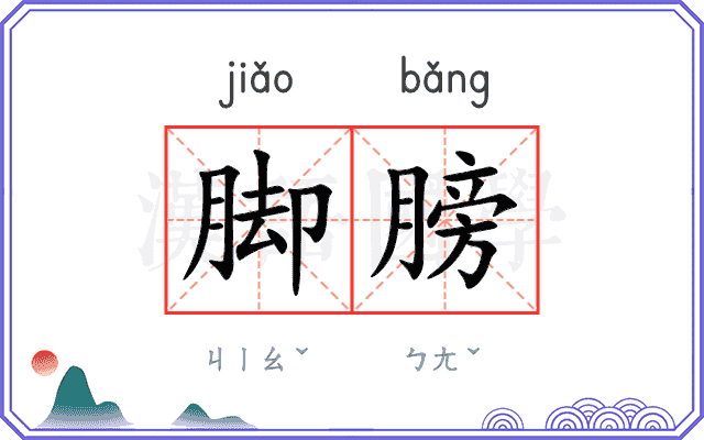 脚膀