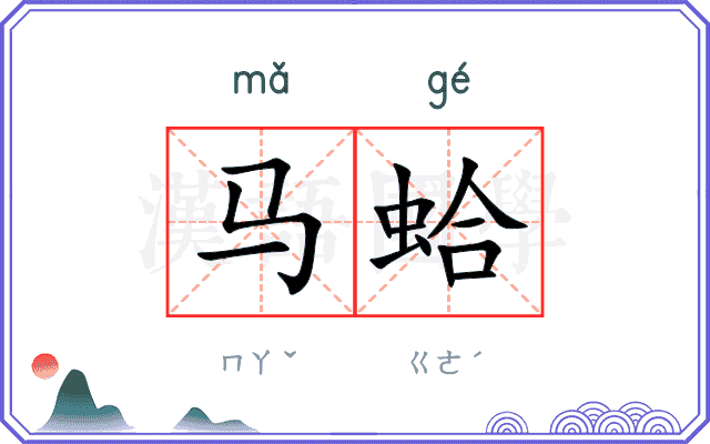 马蛤
