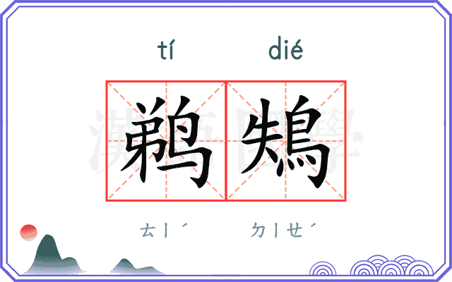 鹈鴩