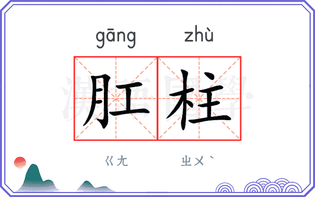 肛柱