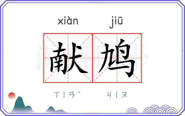 献鸠
