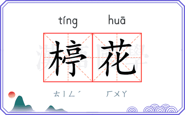 楟花