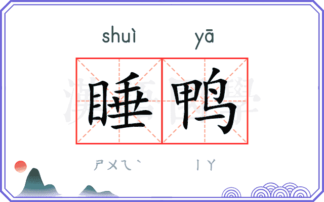 睡鸭