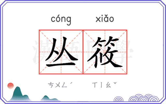 丛筱