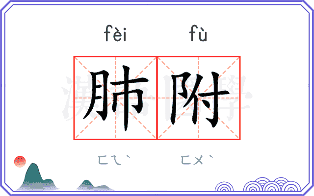 肺附