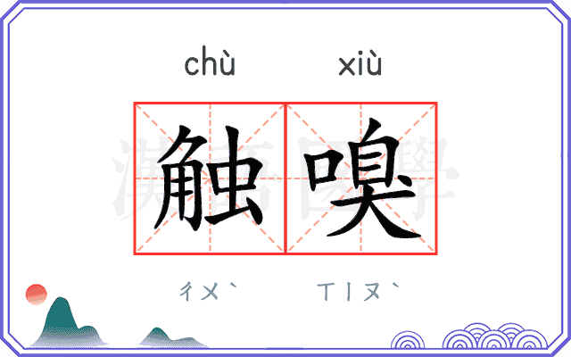 触嗅