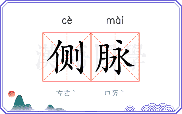 侧脉