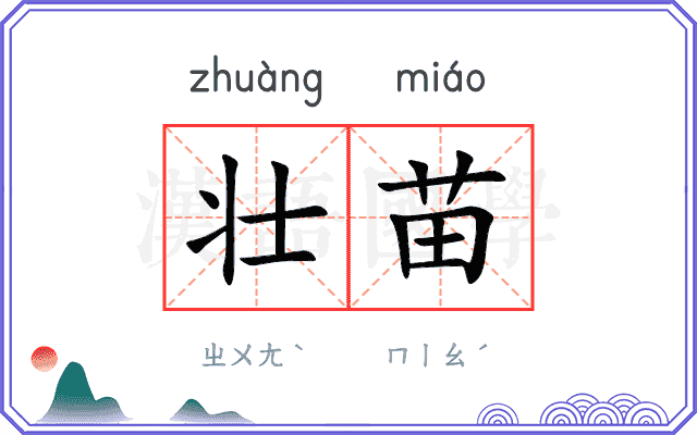 壮苗