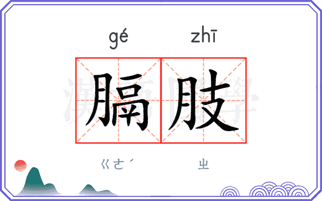 膈肢