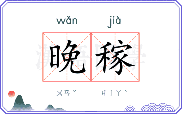 晚稼