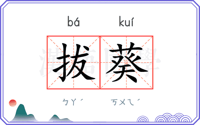 拔葵