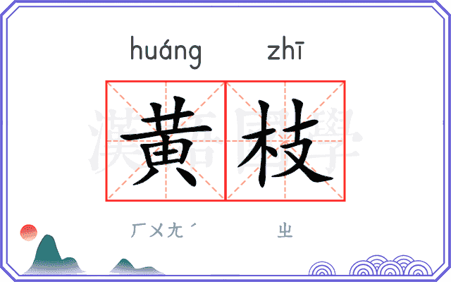黄枝