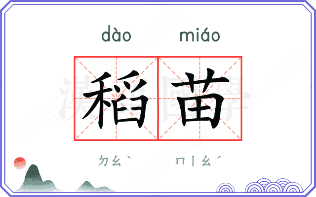 稻苗