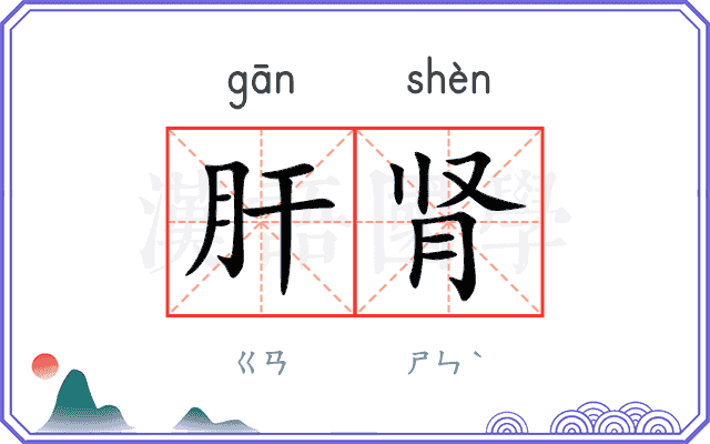 肝肾
