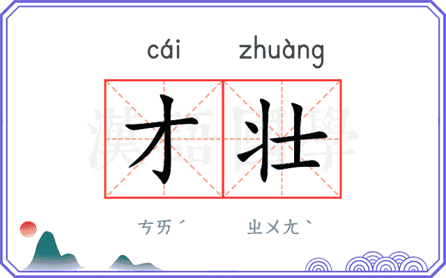 才壮
