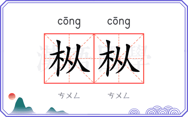 枞枞