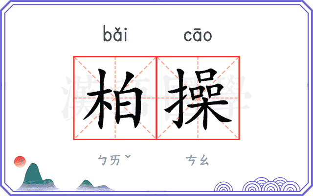 柏操