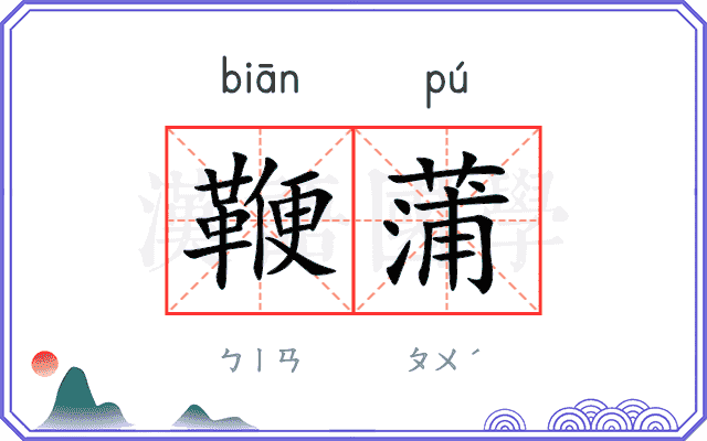 鞭蒲