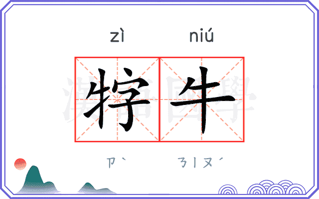 牸牛