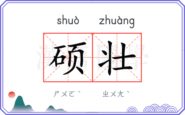 硕壮