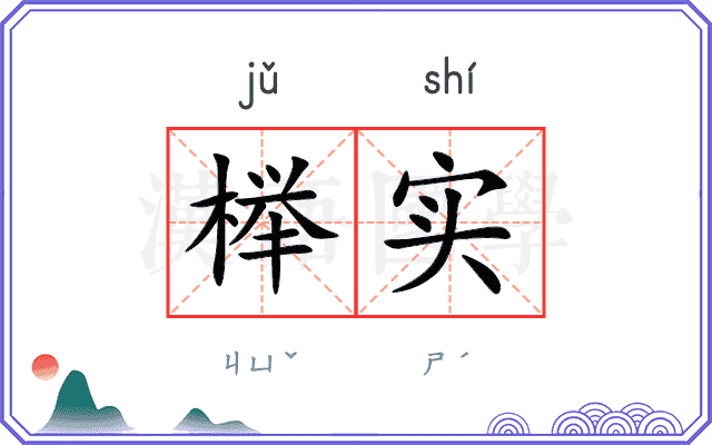 榉实