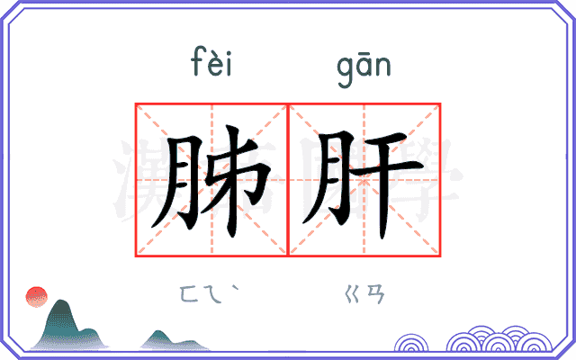 胏肝