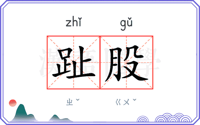 趾股