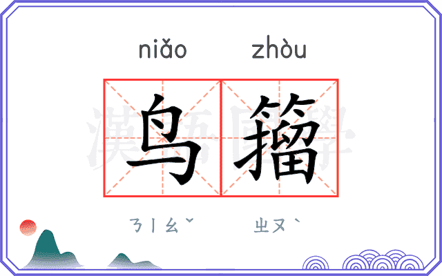 鸟籀