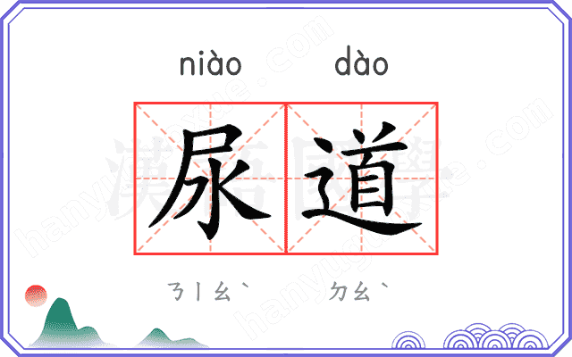 尿道