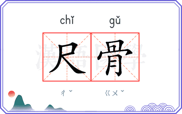 尺骨