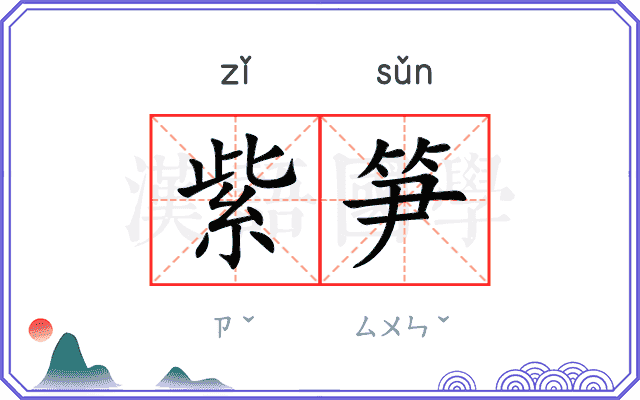紫笋
