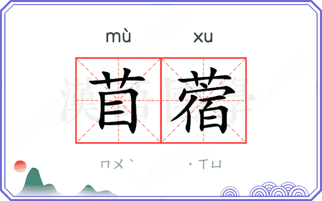 苜蓿