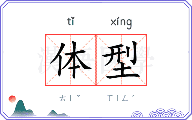 体型