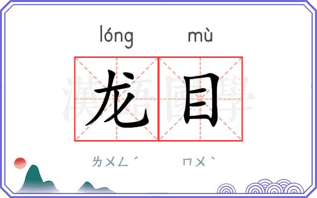 龙目