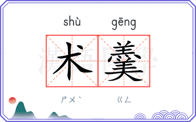 术羹