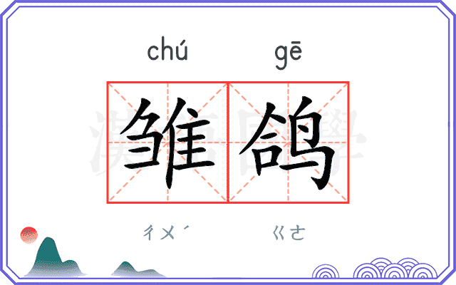 雏鸽
