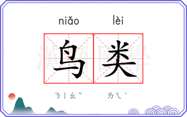 鸟类