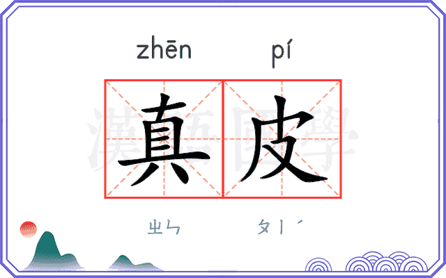 真皮