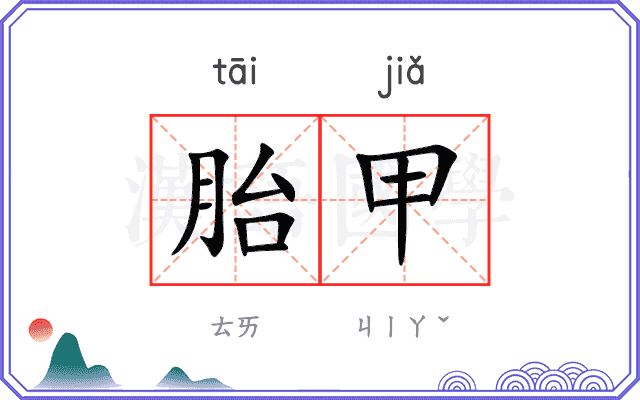胎甲