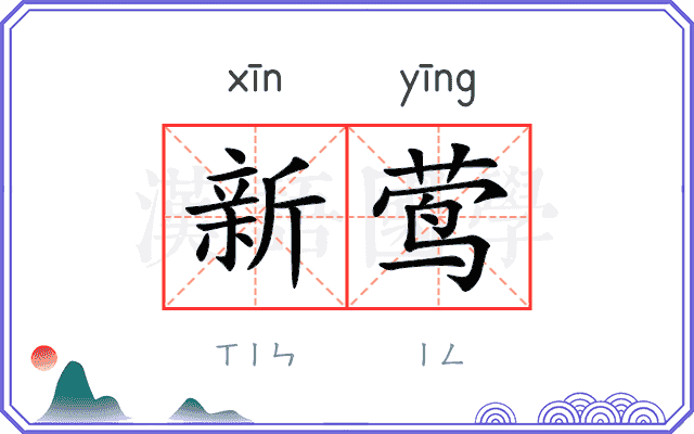 新莺