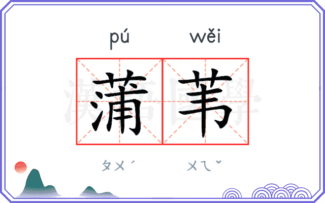 蒲苇