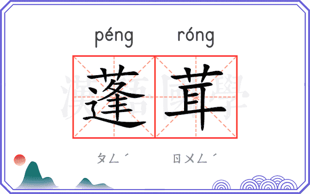 蓬茸